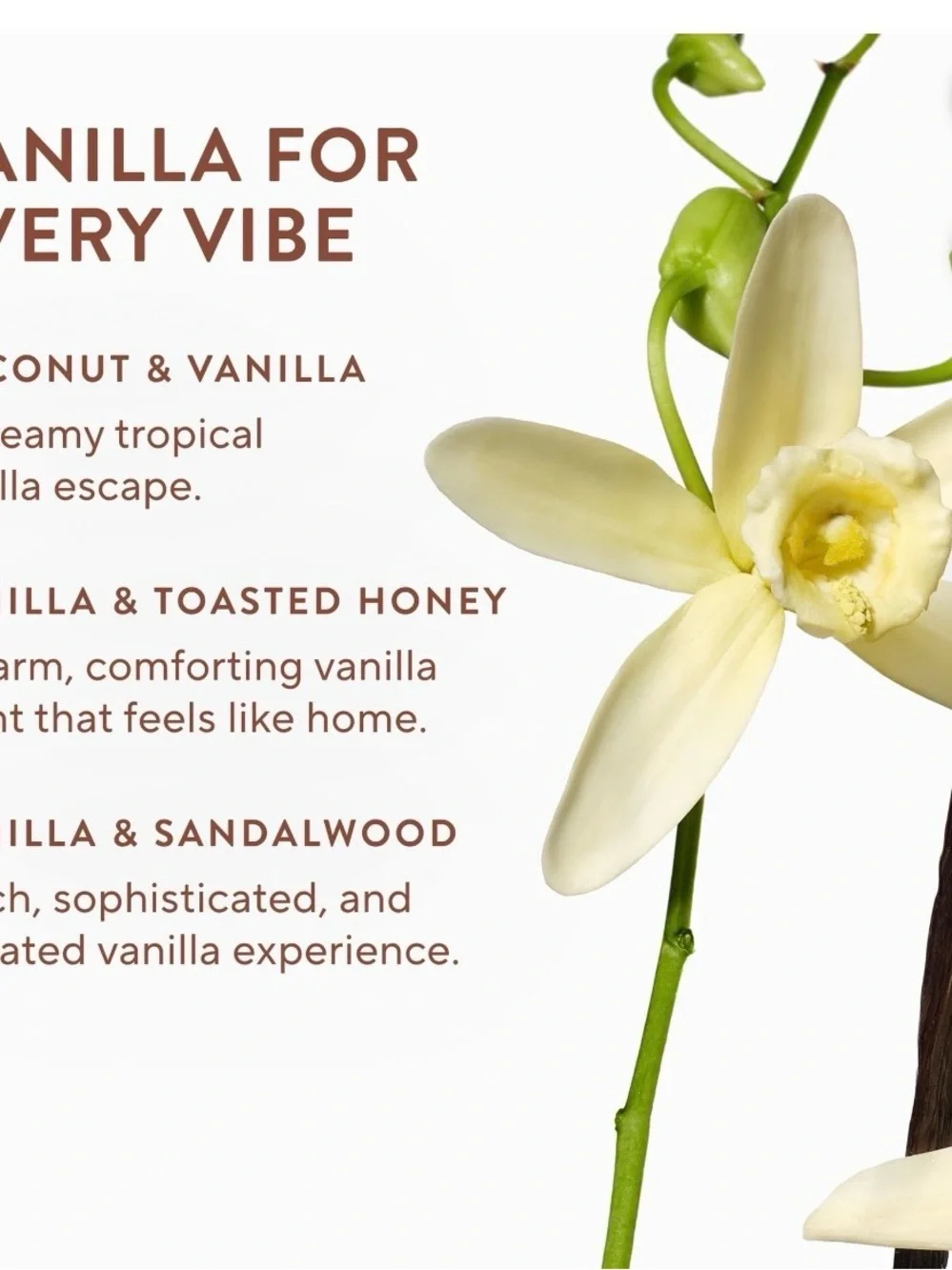 Native Vanilla Variety 3 Pack Body Wash Deodorant